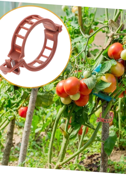 Domates Klipsi, Bitki Klipsi 100 Adet, (25 MM) Gövde Kelepçesi, Sarmaşık Klipsi, Kahverengi Klips