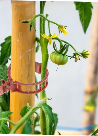 Domates Klipsi, Bitki Klipsi 100 Adet, (25 MM) Gövde Kelepçesi, Sarmaşık Klipsi, Kahverengi Klips