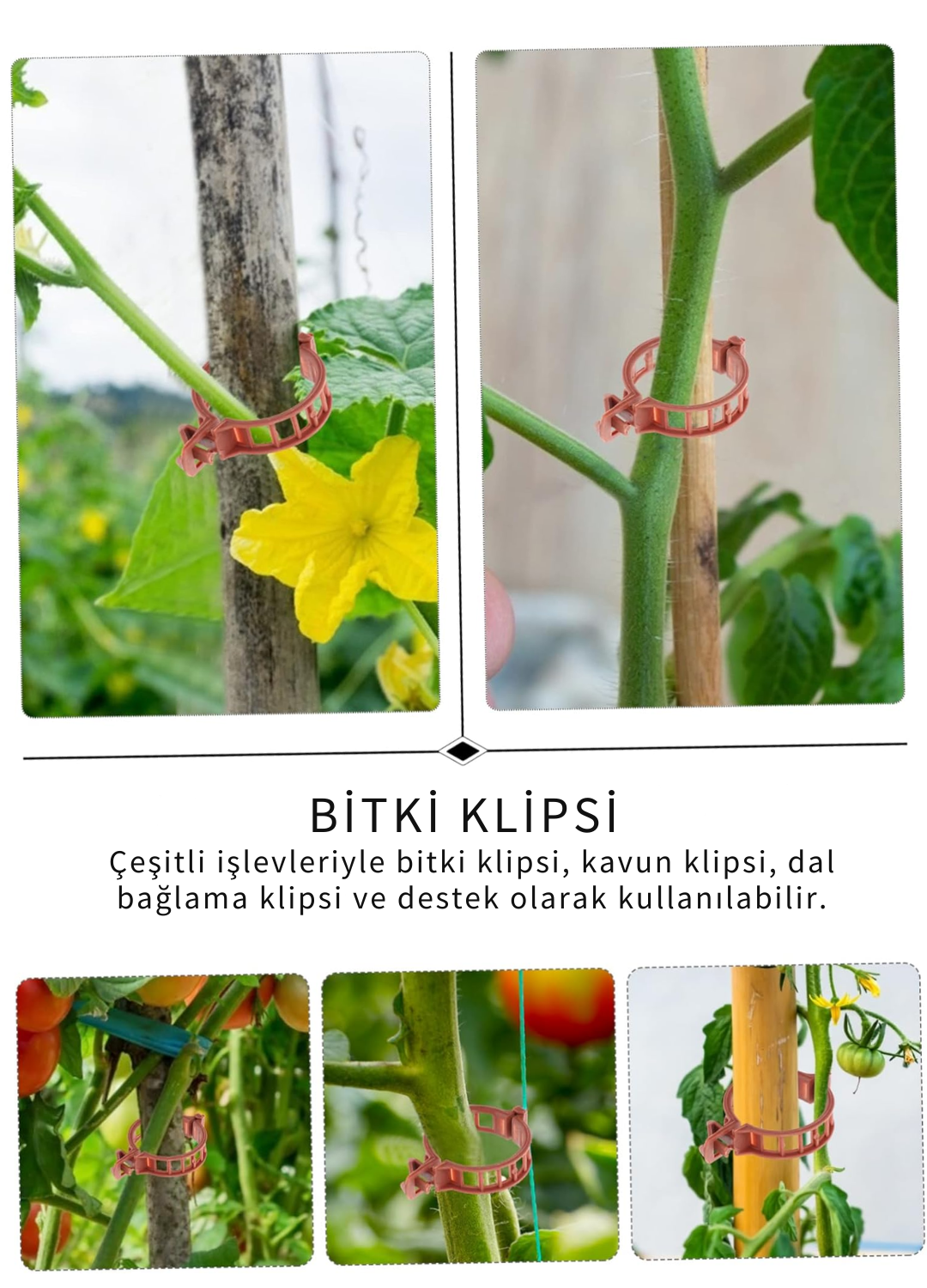 Domates Klipsi, Bitki Klipsi 100 Adet, (25 MM) Gövde Kelepçesi, Sarmaşık Klipsi, Kahverengi Klips